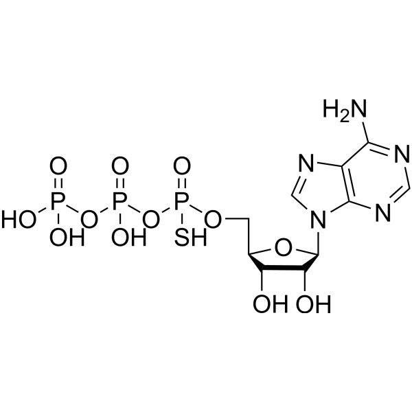 Adenosine 5′-O-1-thiotriphosphate 29220-54-0